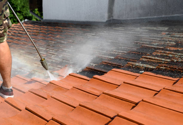 Best Affordable Power Washing  in Durand, WI