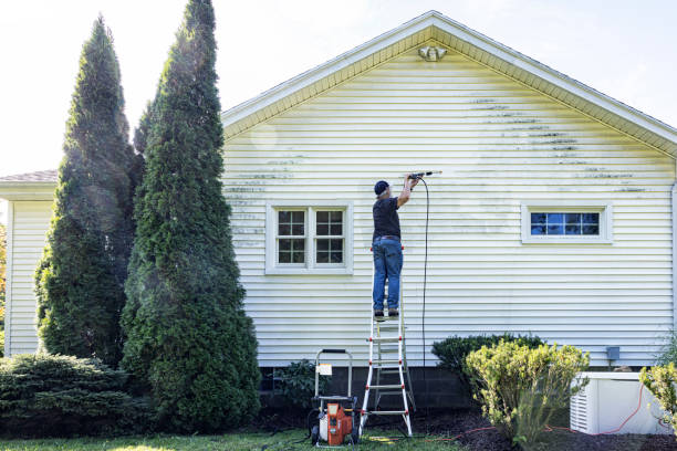 Best Residential Pressure Washing Services  in Durand, WI