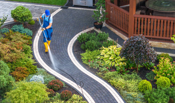 Best Exterior Home Cleaning  in Durand, WI